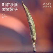 春之缘 白毫银针特级白茶（350g）